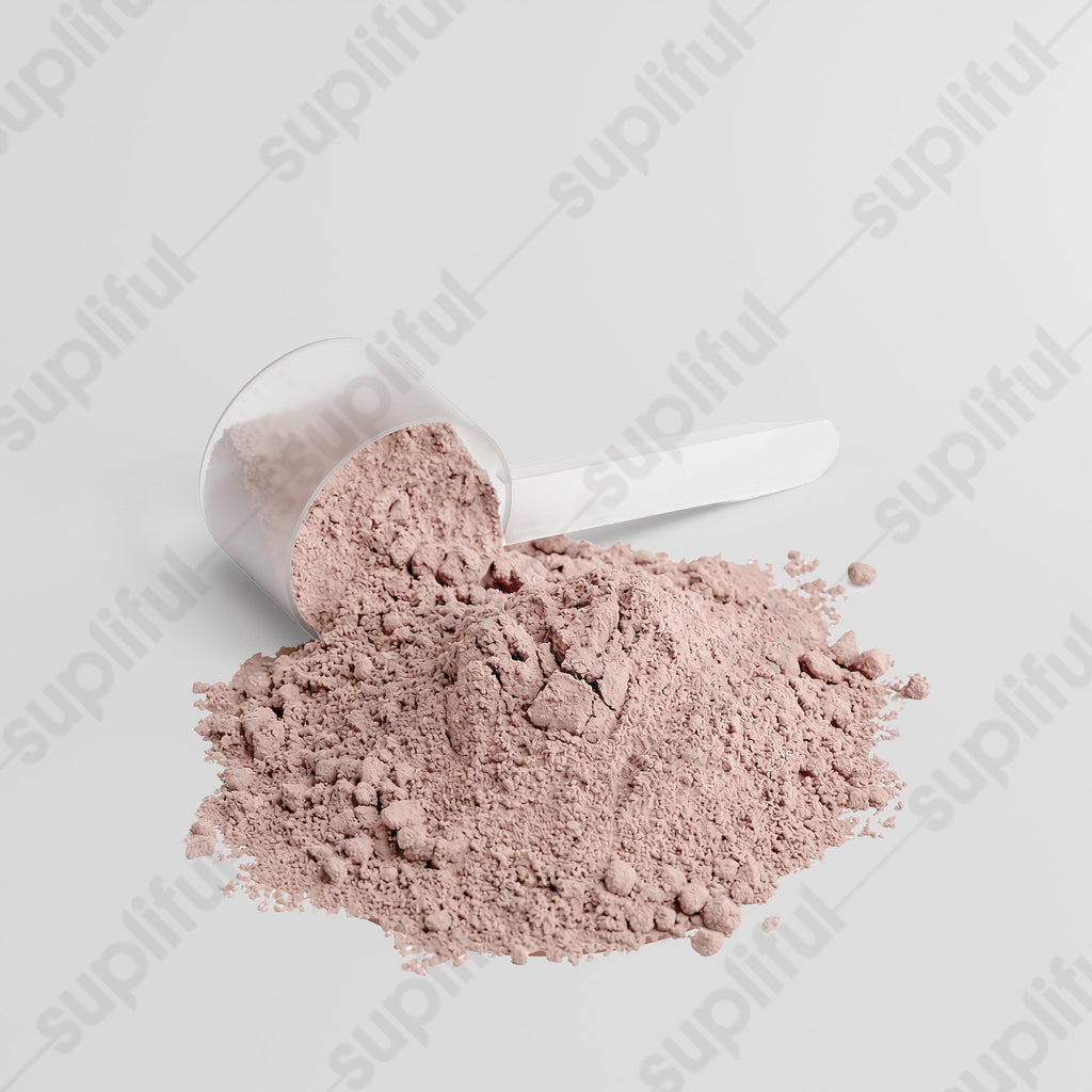 Advanced 100% Whey Protein Isolate (Chocolate)